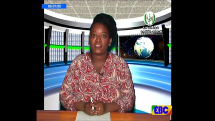  Gambella TV News - March 14, 2017